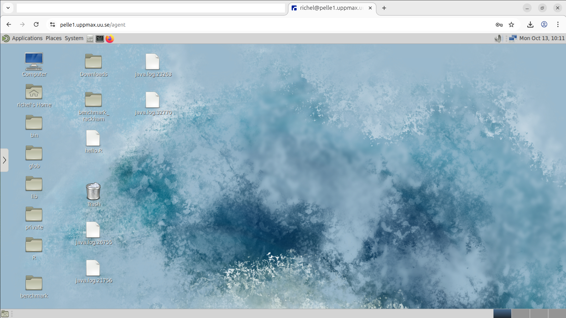 Pelle website login screen with details