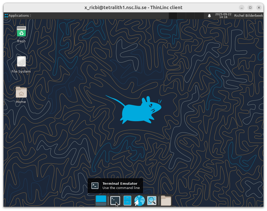 Click on 'Terminal Emulator'