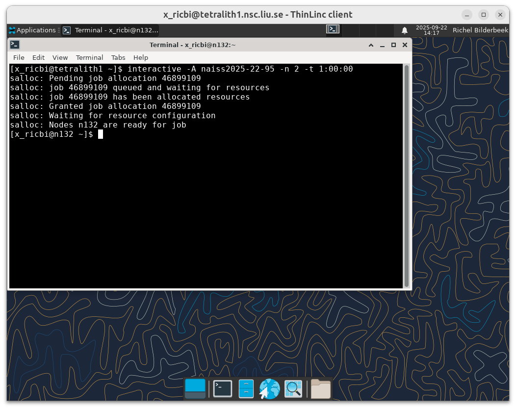 The prompt shows n132