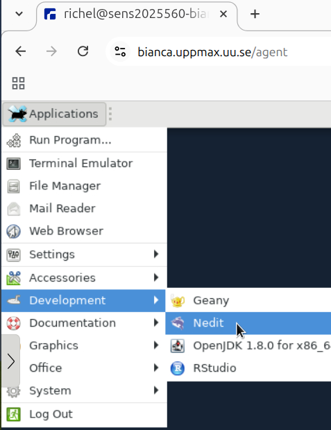 Click 'Applications | Development | nedit'
